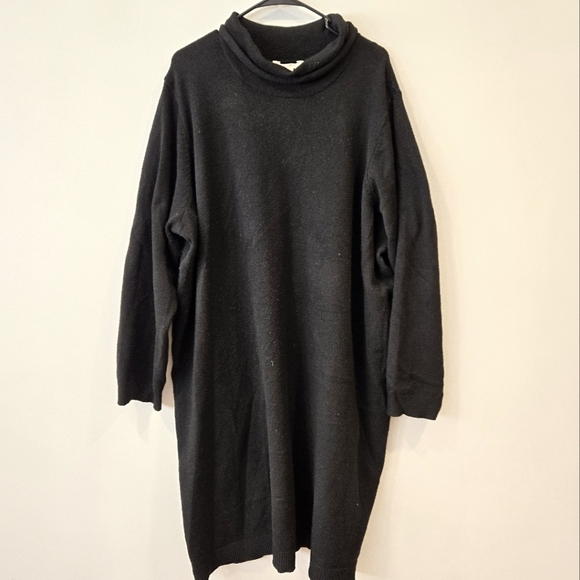 Terra&Sky Turtleneck Sweater Dress - Picture 1 of 4